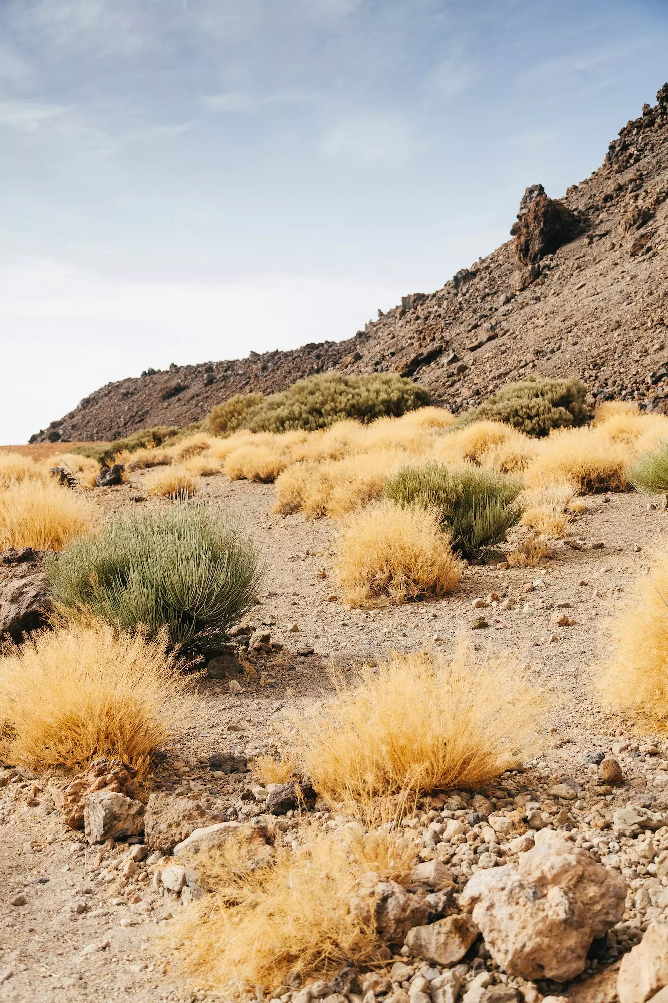 Vrh Teide