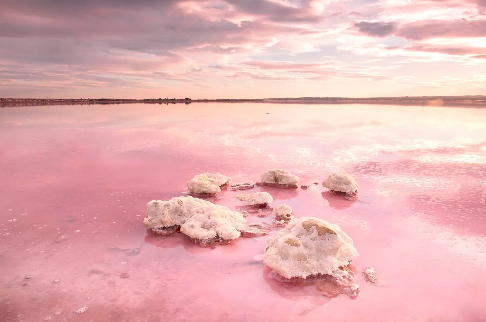 Déi rosa Lagun vun Torrevieja 'Pink Power'