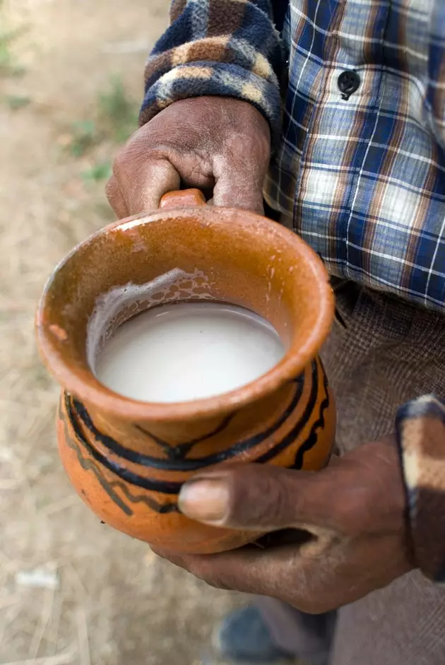 pulque հրահանգների ձեռնարկ