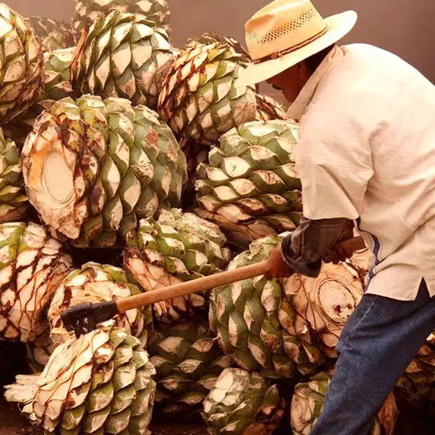 Mezcal Amores