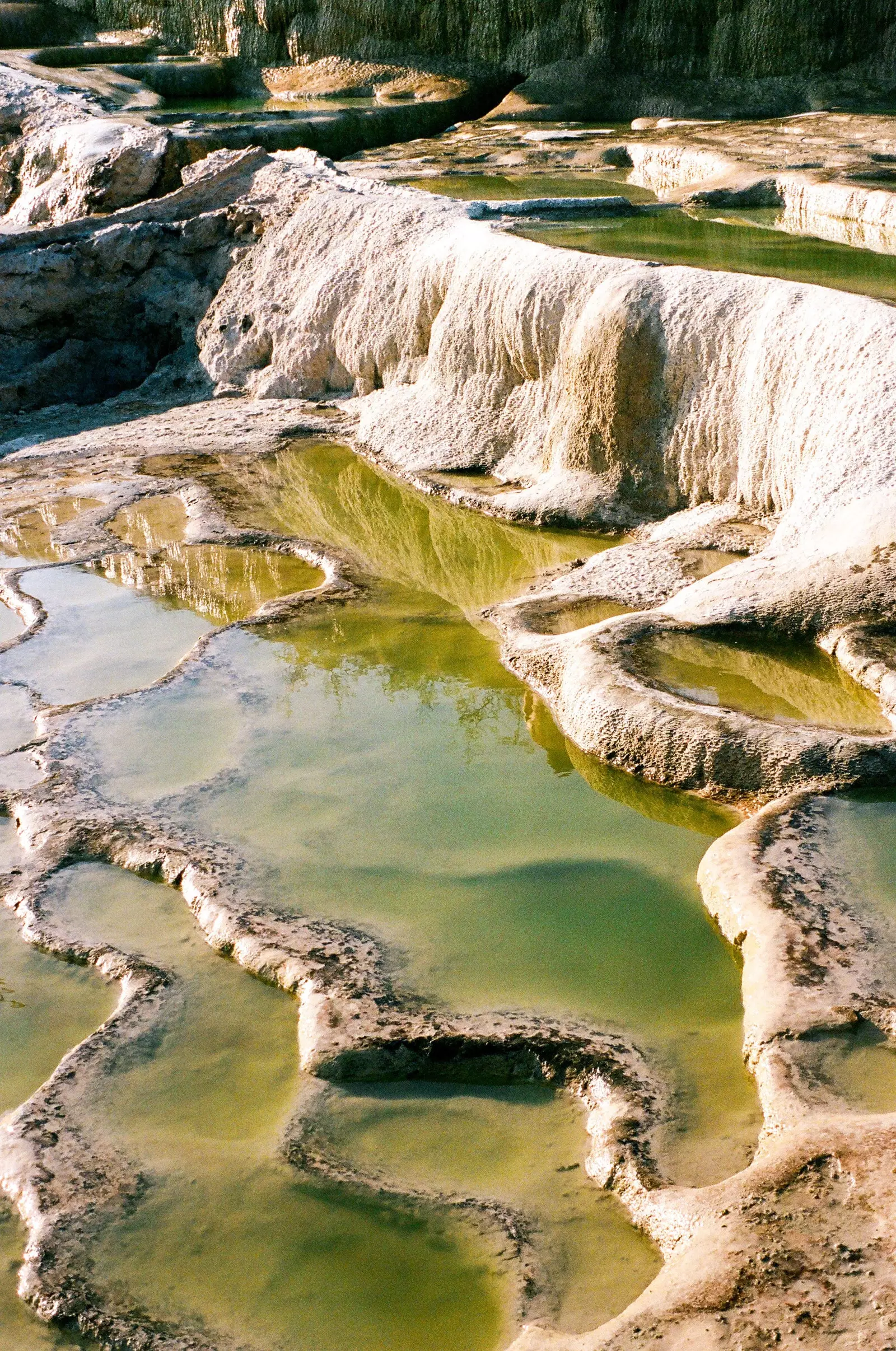 Hierve el agua, कैल्शियम कार्बन द्वारा निर्मित कुछ डरावने झरने, स्थिर पानी के परिणामस्वरूप प्राकृतिक और नीले रंग के होते हैं जो इसे खनिजों में समृद्ध बनाता है।