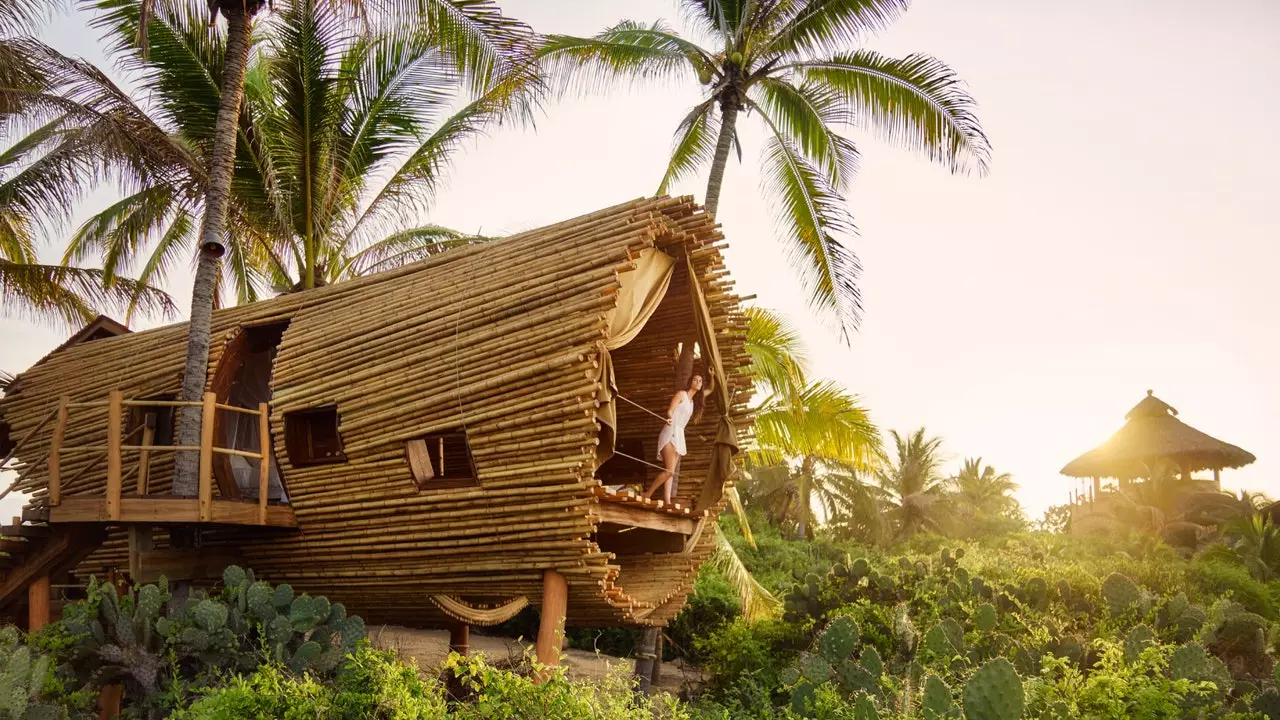 Il viaggio di una vita alle affascinanti case sugli alberi di questo eco-resort in Messico