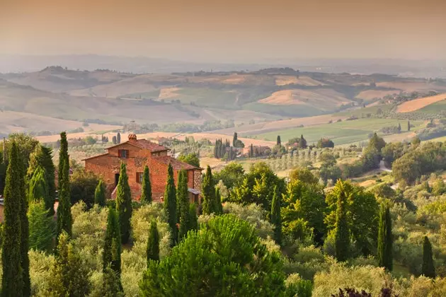 Montepulciano