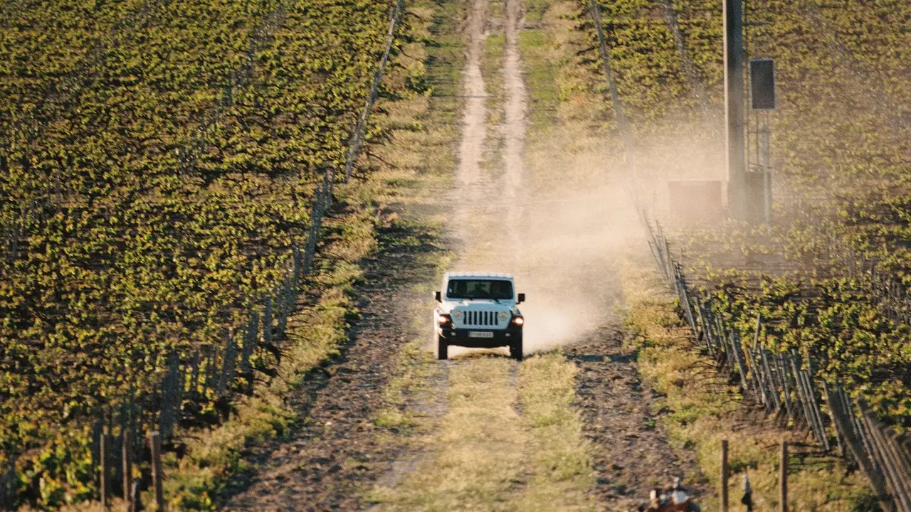 Duero Valley: "road trip" till Kastilien