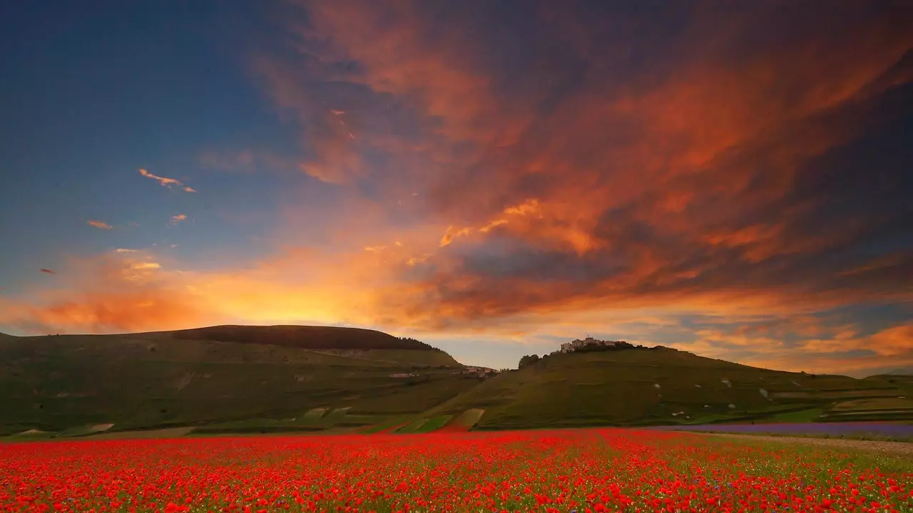 Castelluccio di Norcia õitsemine, suvine vaatemäng, mis paneb sind armuma