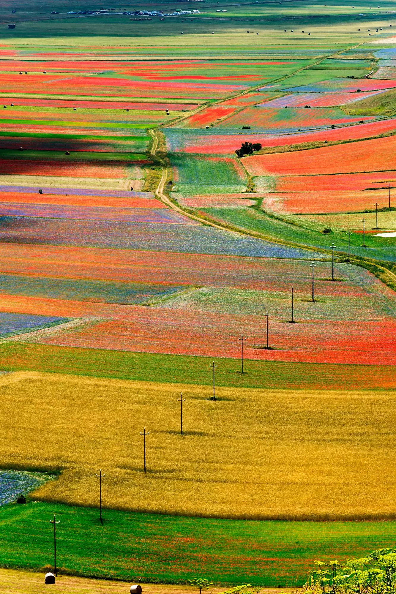 Vista panorâmica dos campos de Castellucio di Norcia cheios de cor.