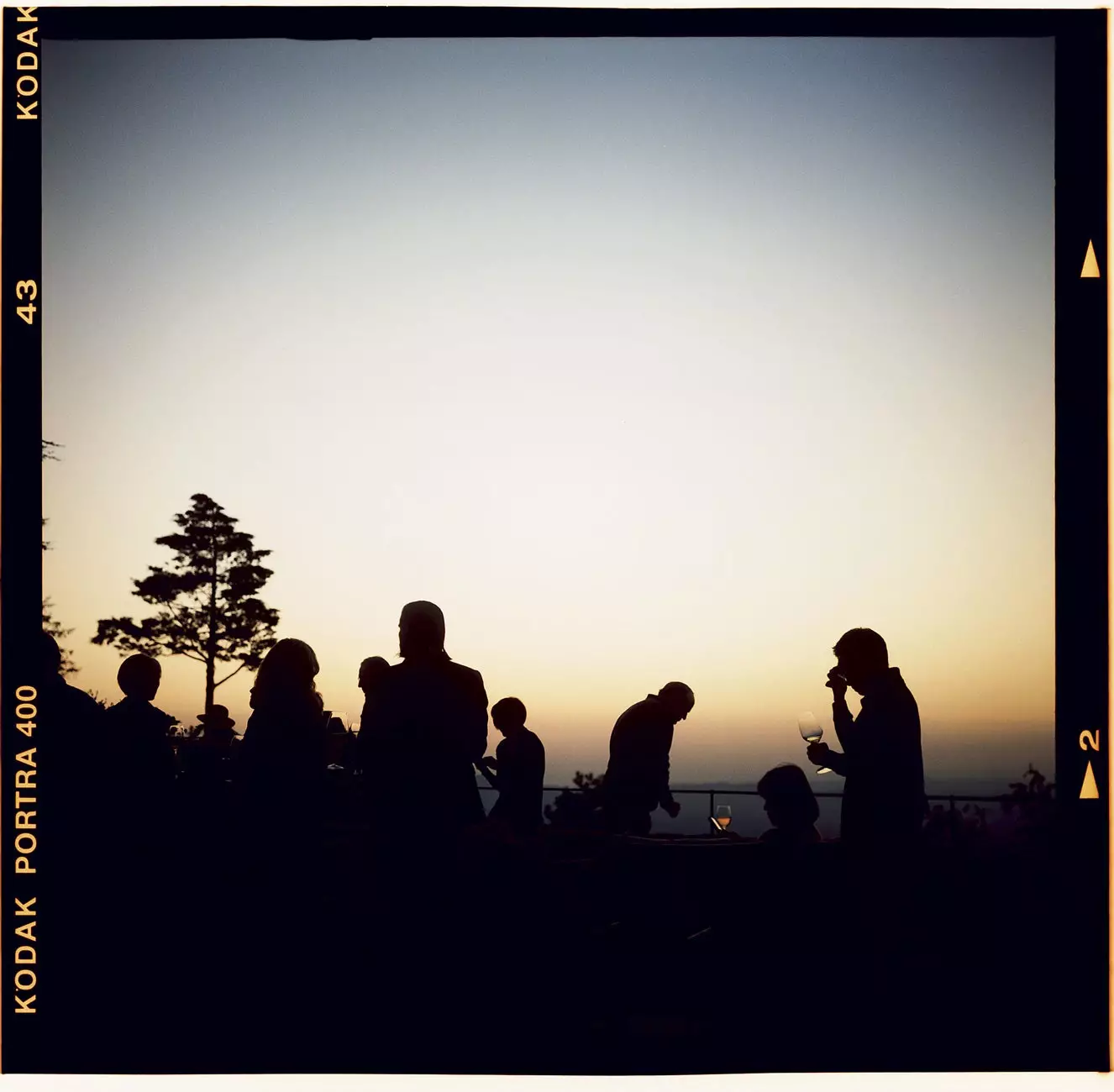 Couchers de soleil et vins.