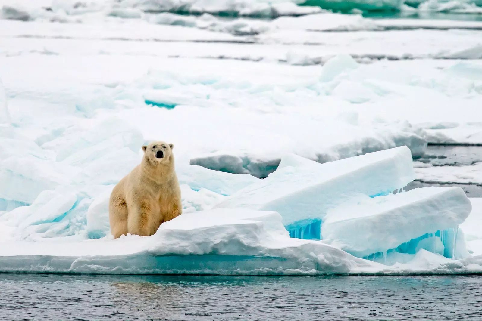 Spitsbergen