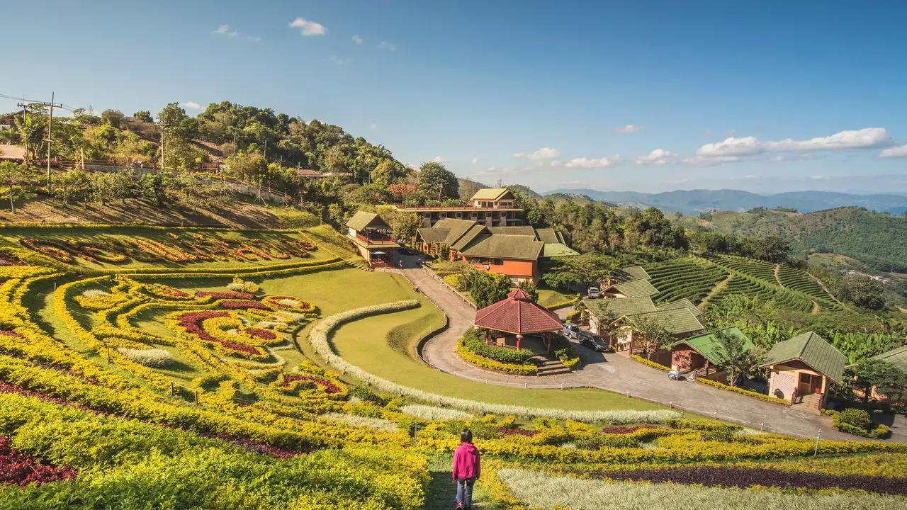 Mae Salong, kijiji cha Thai ambako chai hupandwa na Kichina huzungumzwa