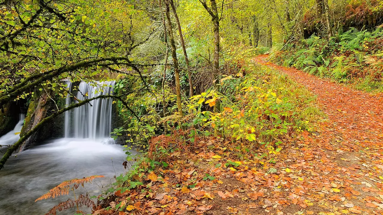 Muniellos, la promesse d'un conte d'automne