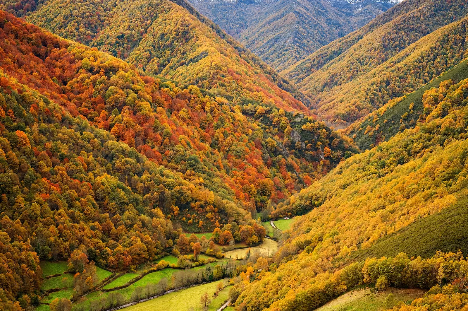 Muniellos obećanje jesenske priče