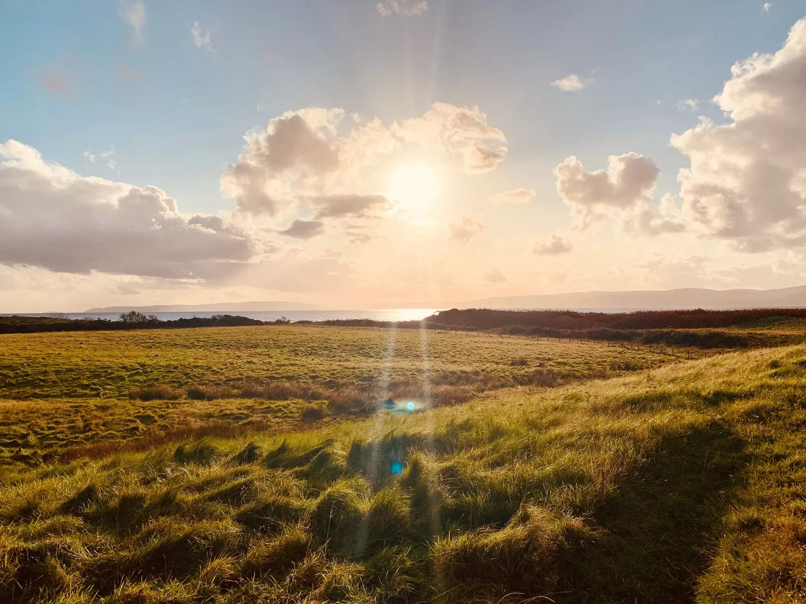 Machrie Moor