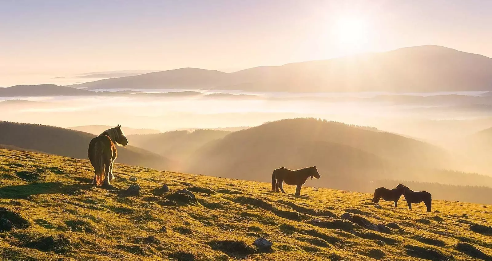 Osupljiva pokrajina v OAR Cottage Bizkaia.