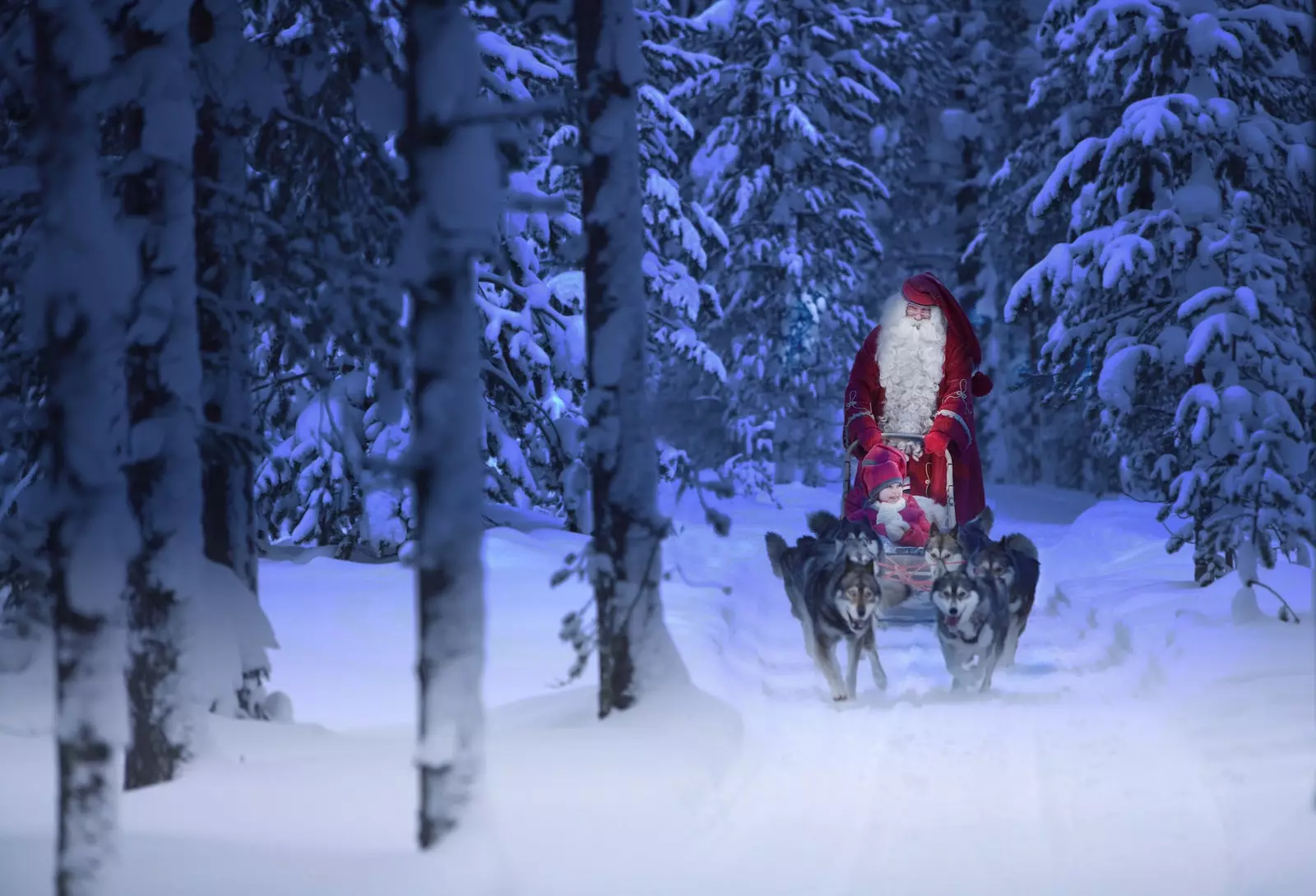 Santa Claus berjalan melewati salju dengan salah satu gnome