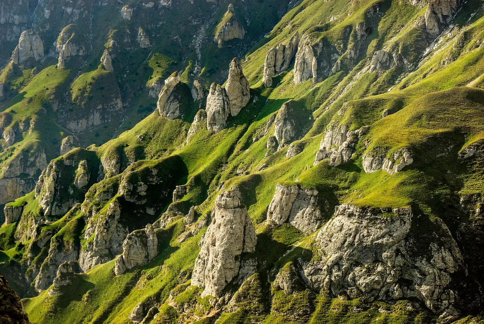 Bucegi Natural Park