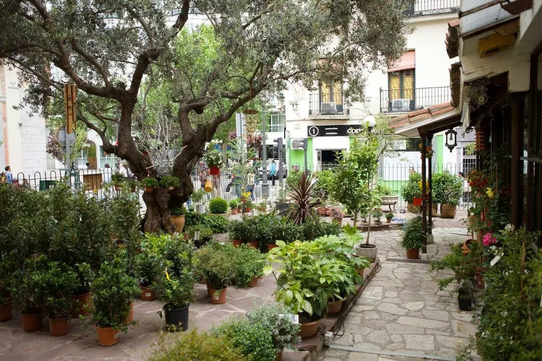 Ο Λόπε ντε Βέγκα θάφτηκε κάποτε στο El Jardín del Ángel.