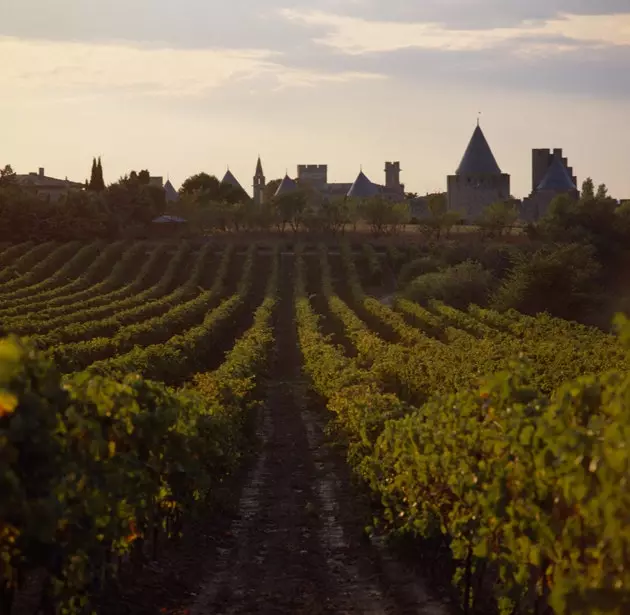 Vinhedos em Carcassonne