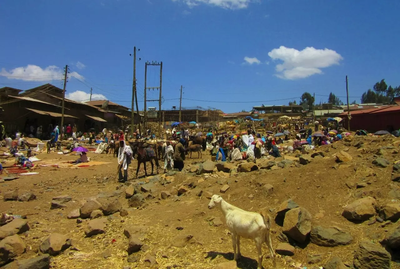 Debark Market.