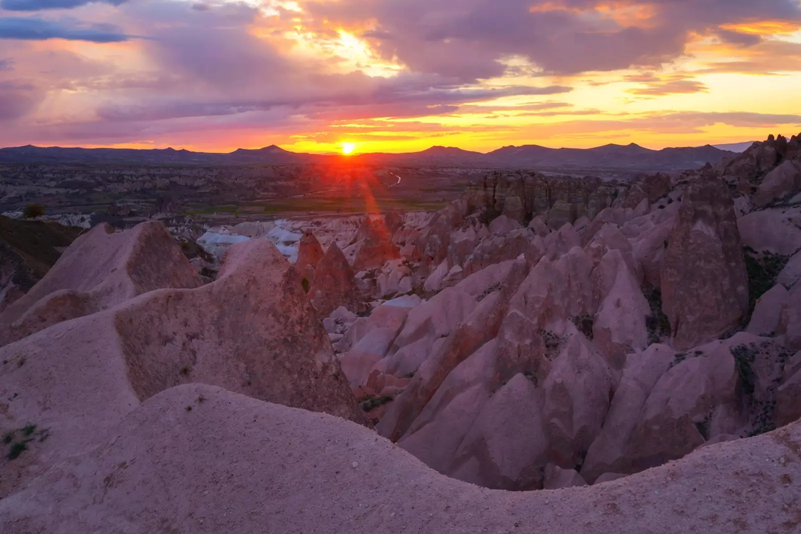 Rose Red Valley