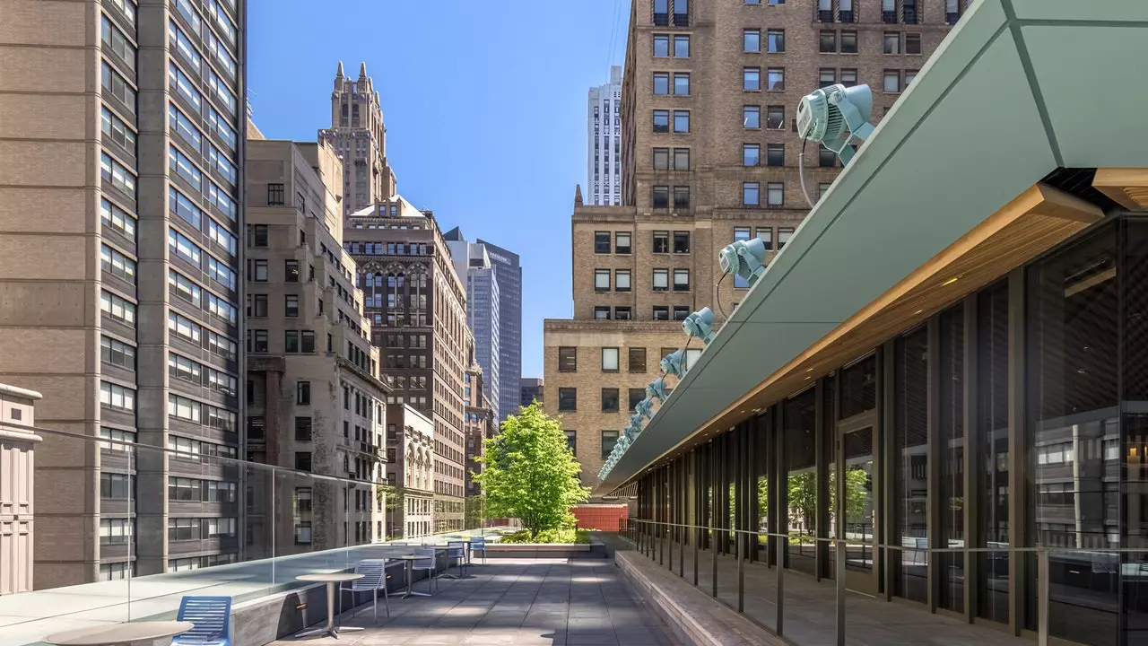 Il nuovo tetto con vista su New York è in una biblioteca