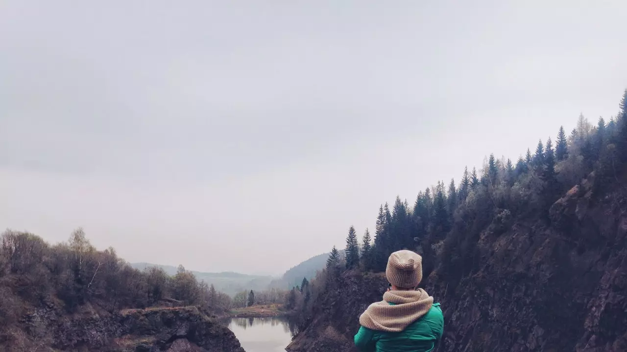 Suple metsas! Õnne saladus peitub shinrin-yokus