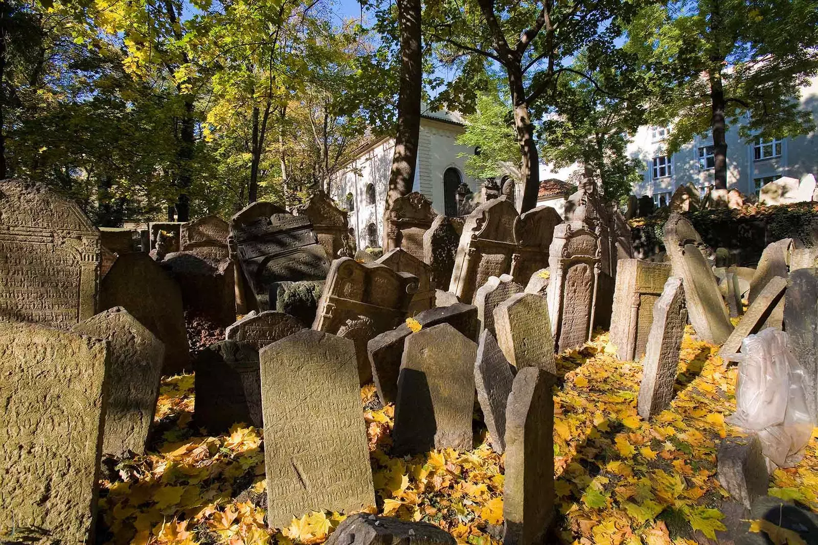 Vecchio cimitero ebraico di Praga