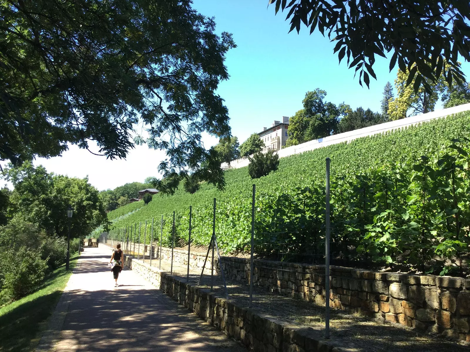 Havl kovy Sady het wijngaardpark in Praag