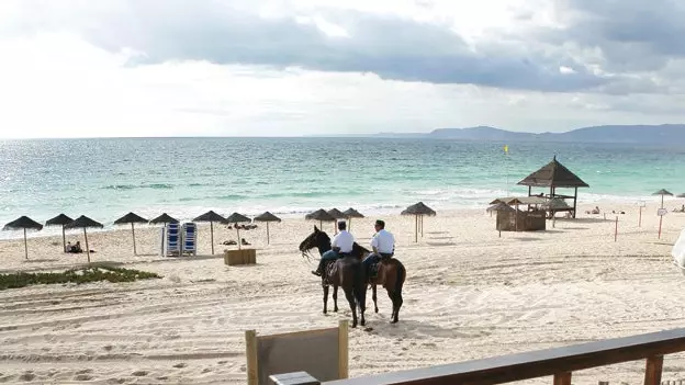 Comporta : personne en vue à une heure de Lisbonne