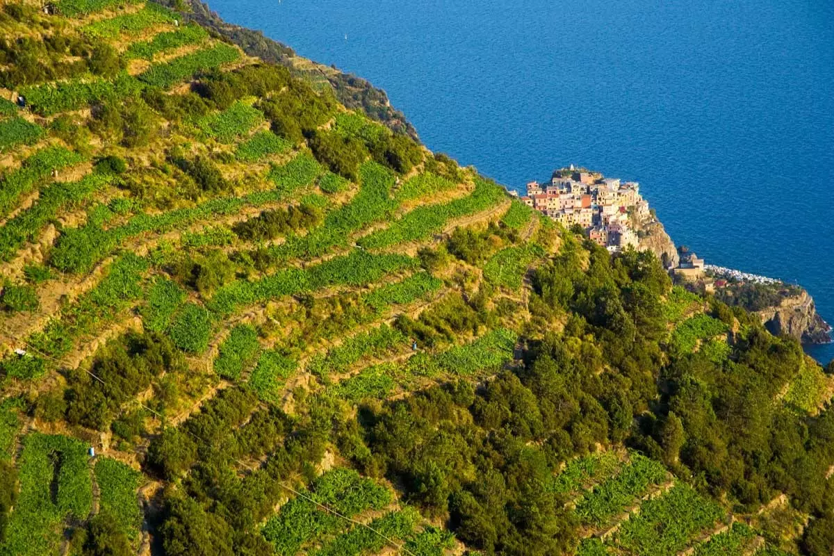 Verë në Cinque Terre