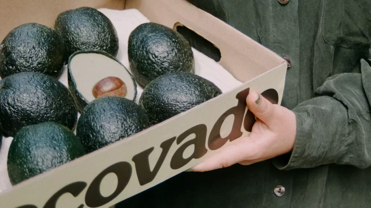 Ecovado, the sustainable alternative to avocado that comes from the United Kingdom