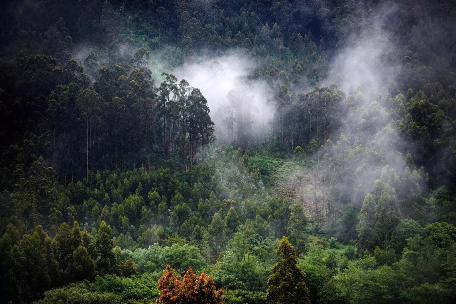 Landscape between Ribadeo and Viveiro from the Transcantbrico