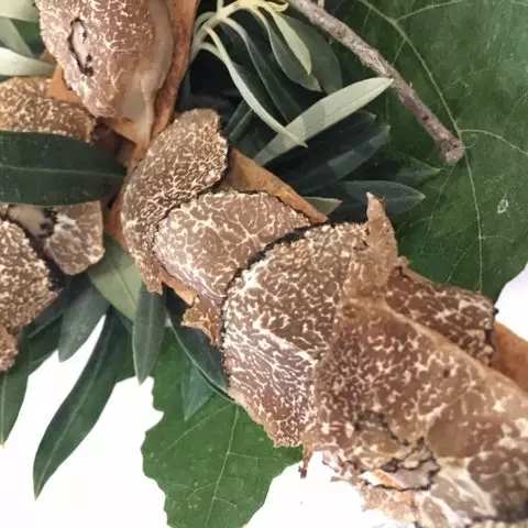 Brindisi odoroso di tortino di pernice con tartufo autunnale a Los Sentidos