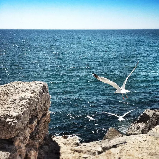 Alameda fra Cádiz