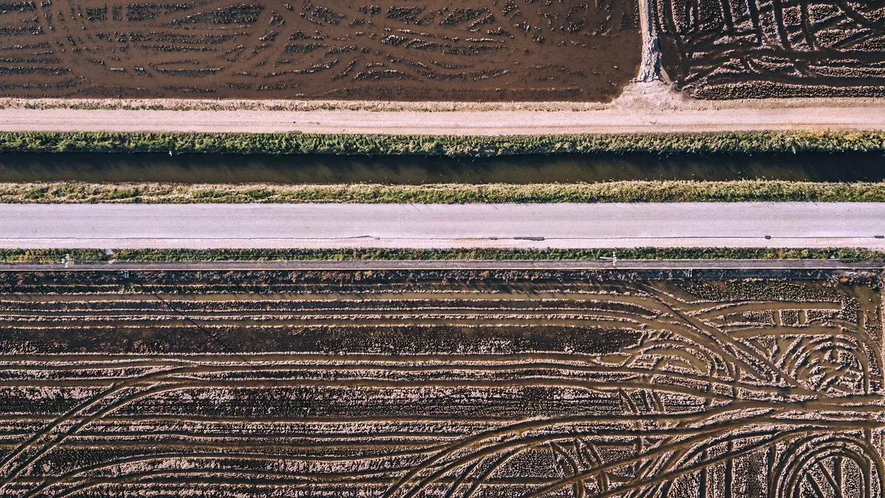 Equilibrium, um projeto fotográfico que chama a cuidar do Delta do Ebro