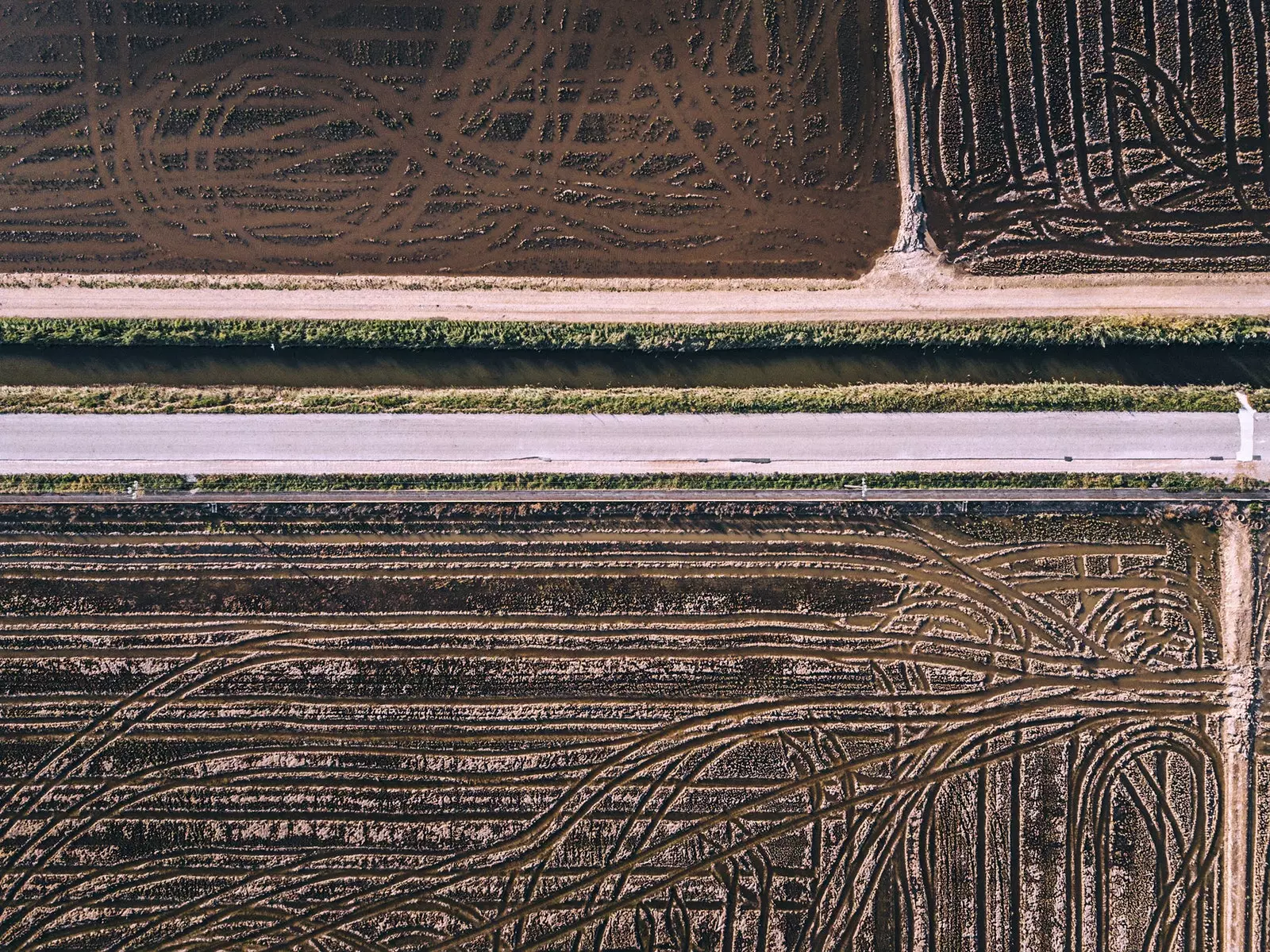 Giotán den Ebro Delta sa tionscadal 'Equilibrium'