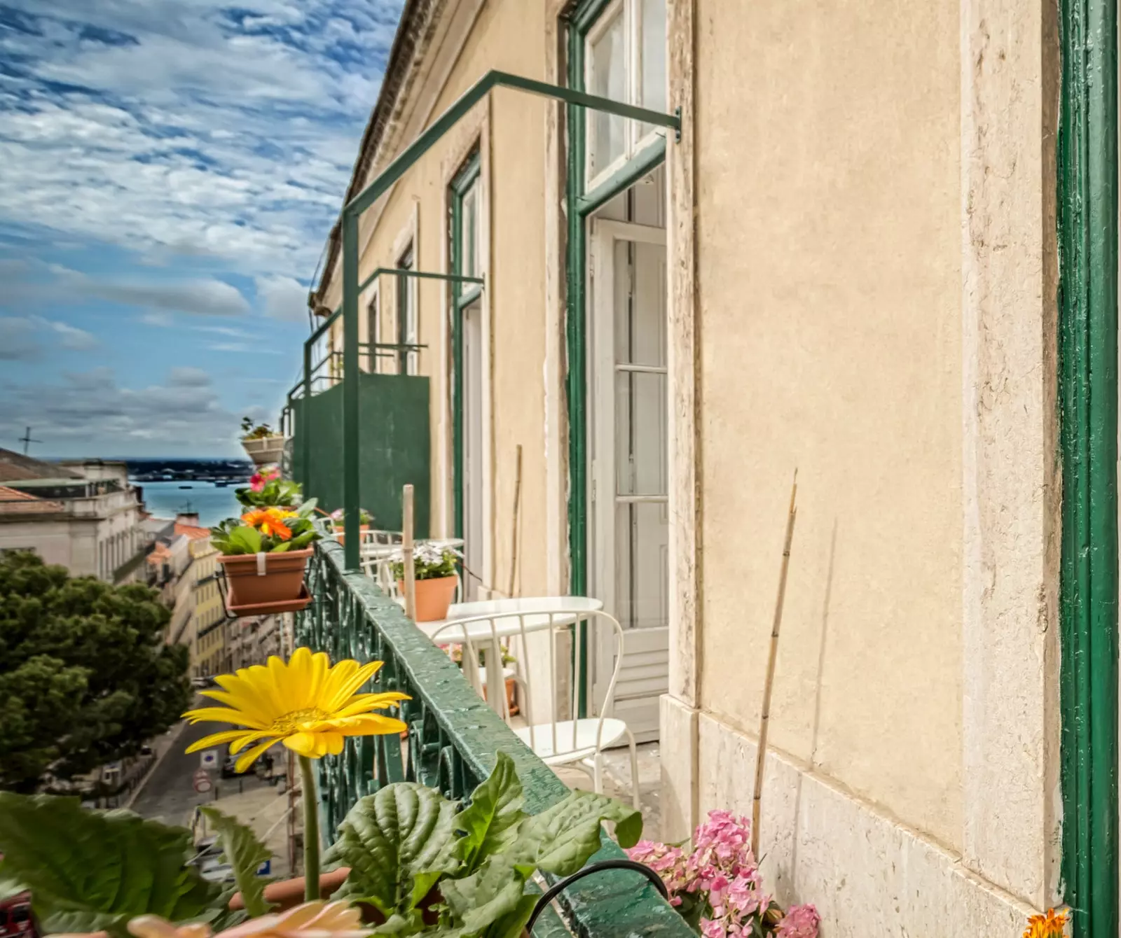 Fino a quando Casinha das Flores non ha riempito i suoi terrazzi di vasi, non è che ci fossero troppi fiori per strada.