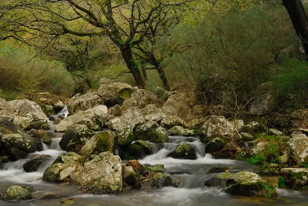 Πέντε λόγοι για τους οποίους ΔΕΝ θα πήγαινα ΠΟΤΕ να ζήσω στο Campo de Gibraltar