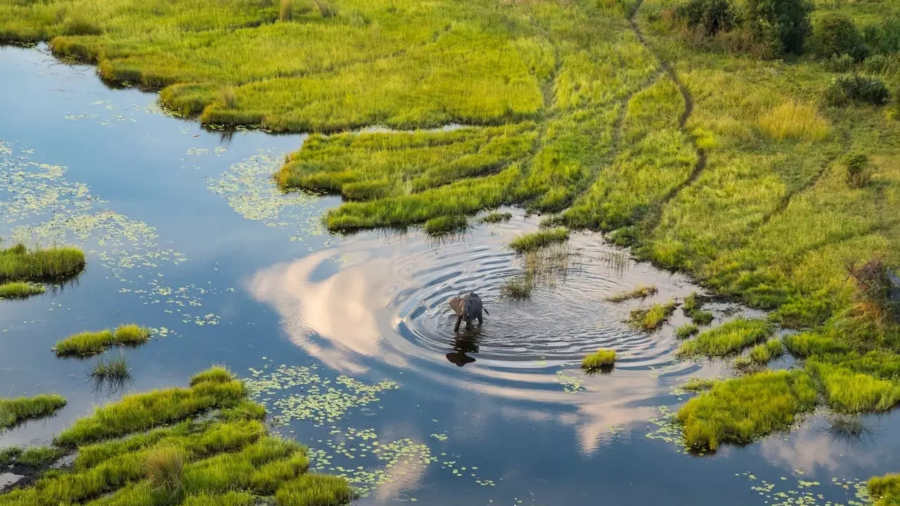 Okavango Delta, אַ גאַרדאַן פון עדען וואָס ריפערמז לעבן