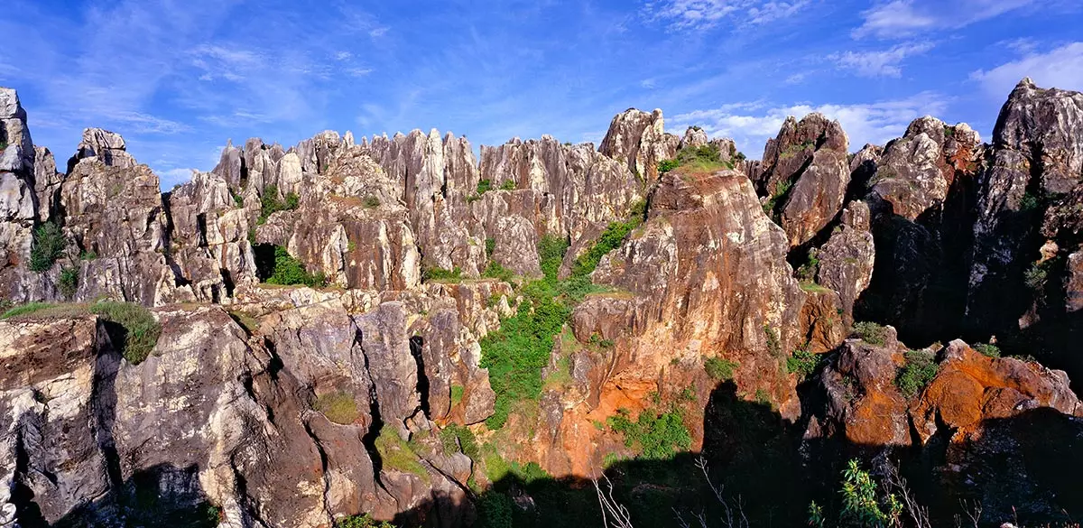 Turó del Ferro