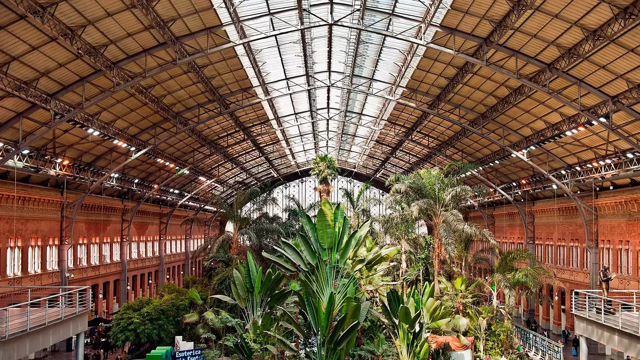 Ode à Atocha : un parcours sans valise et sans hâte