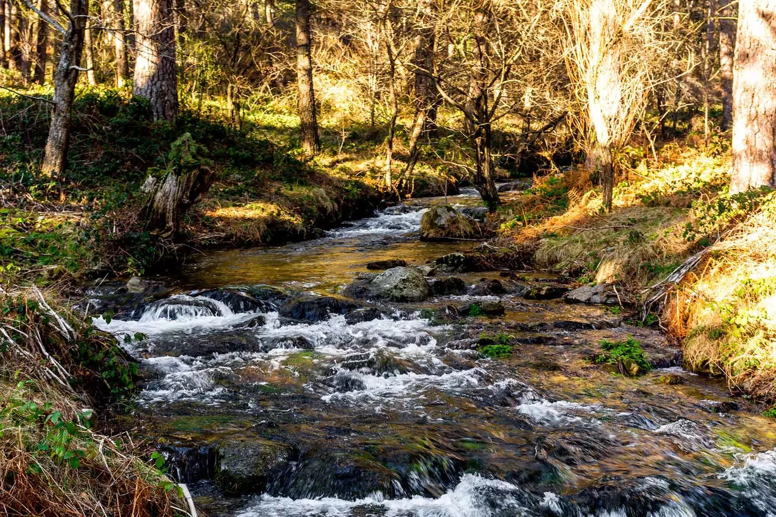 Поток в Cercedilla