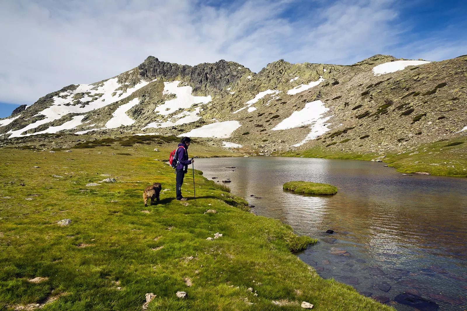 Laguna e Zogjve