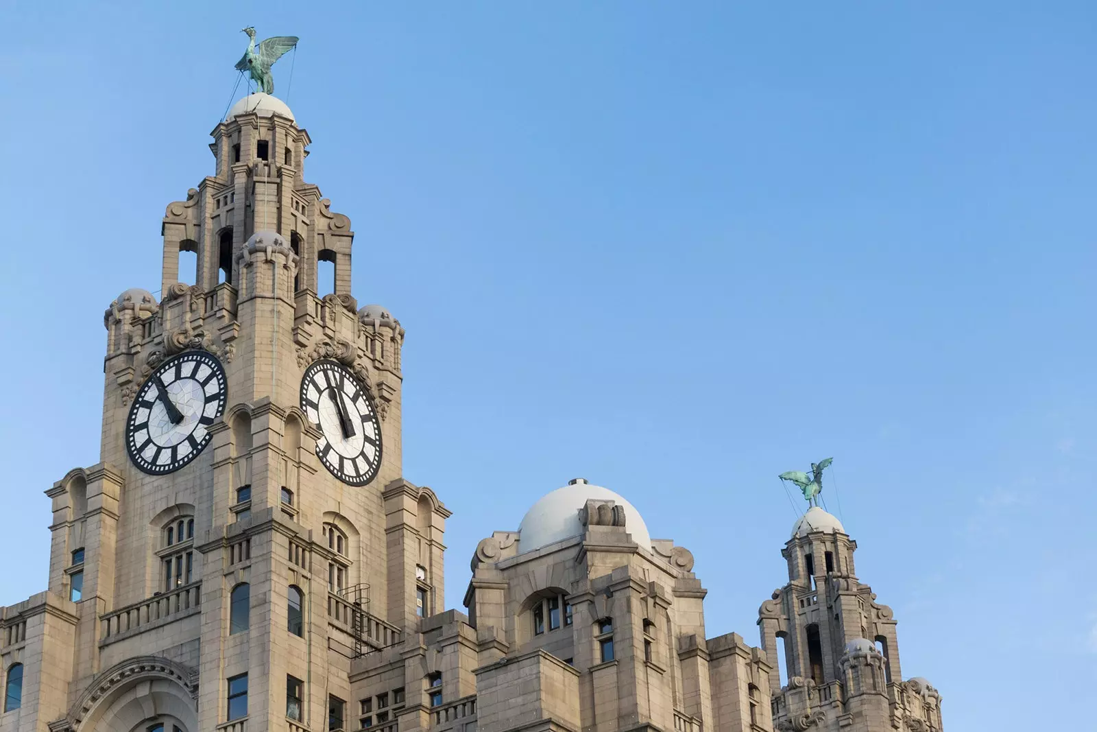 Liver Birds