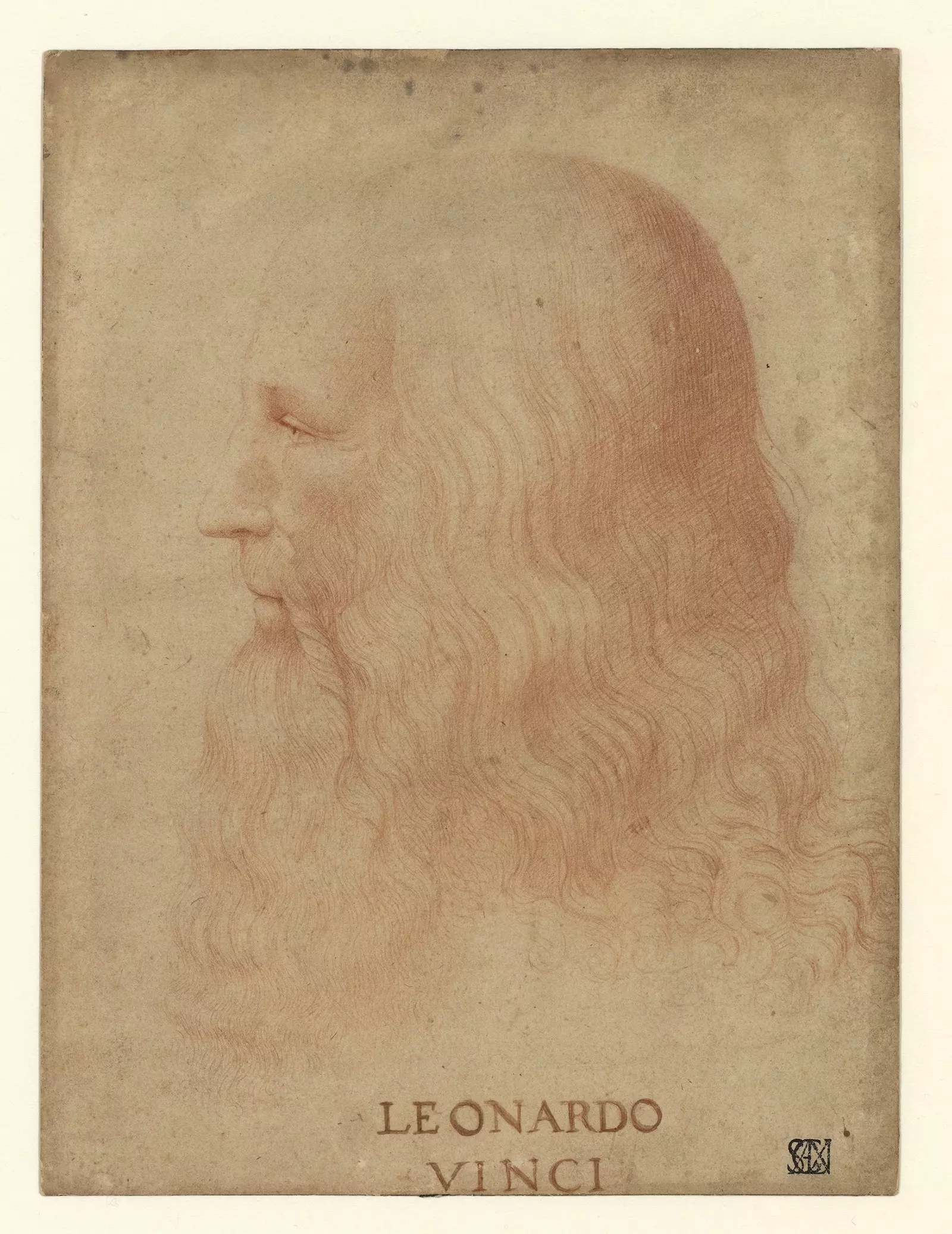 Portráid de Da Vinci curtha i leith Francesco Melzi.