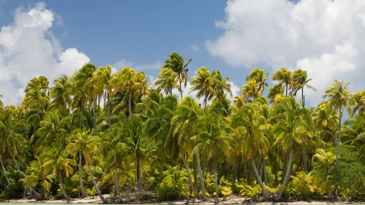 Paradise ciorclach an Tuamotu