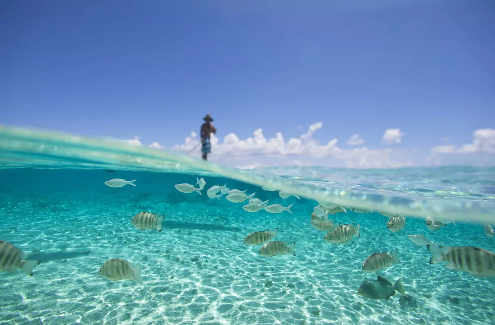 tuamotu meri