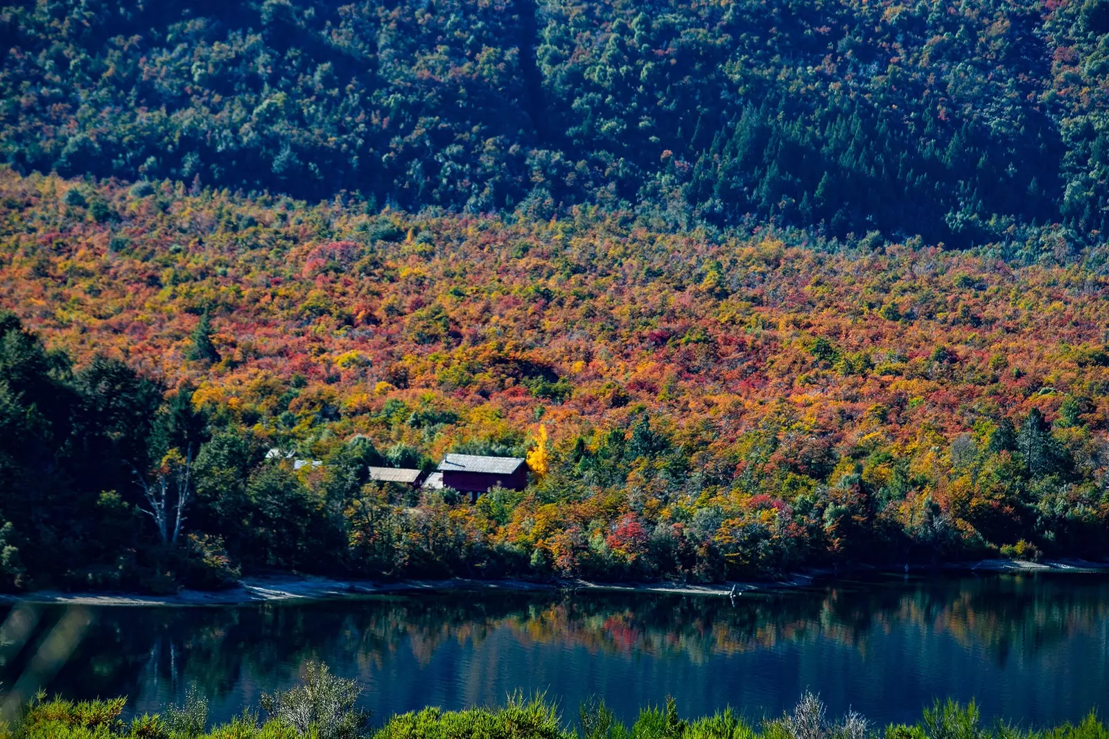 Höst i Bariloche