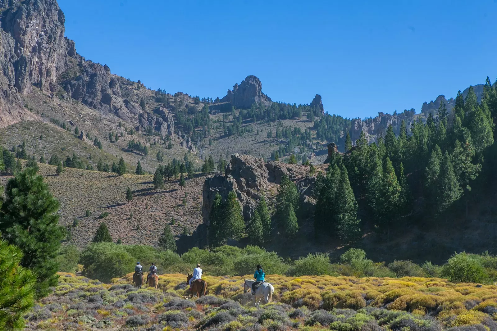 Menunggang kuda melalui Bariloche