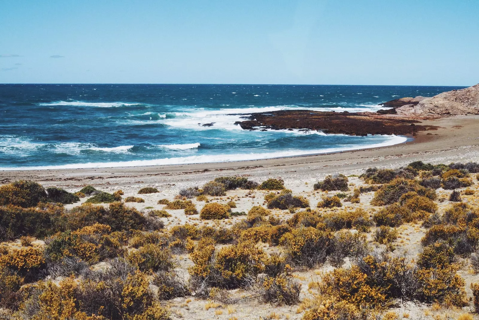 L'Atlantique à Bahía Bustamante.