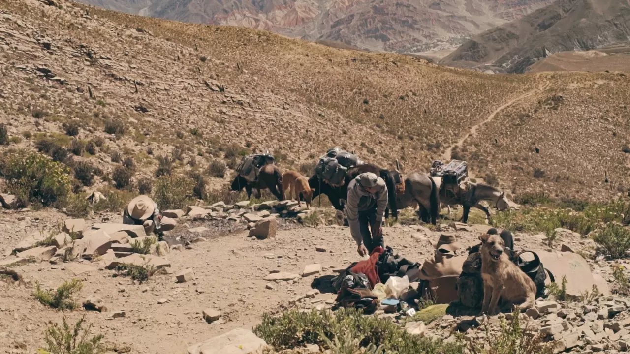 „Ecranul andin”: ducând cinema la 4000 de vise sus